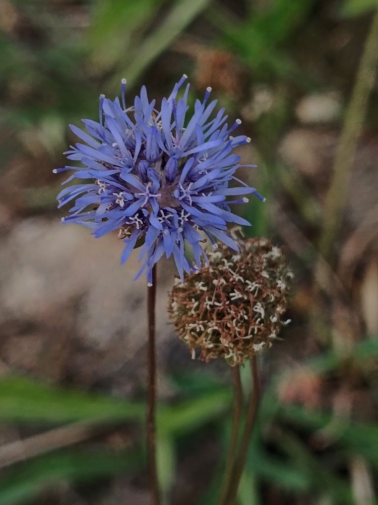 Photograph by Елена Пархоменко