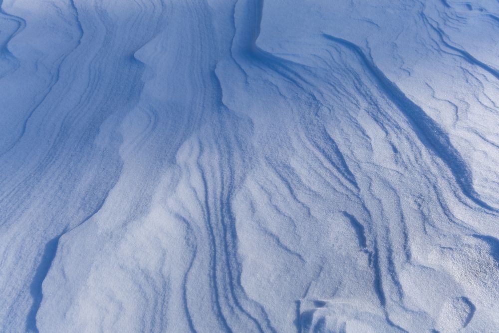 Фотография автора Светлана Поливанова