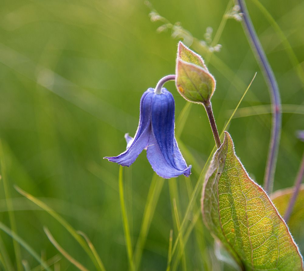 Фотография автора Ирина Яук