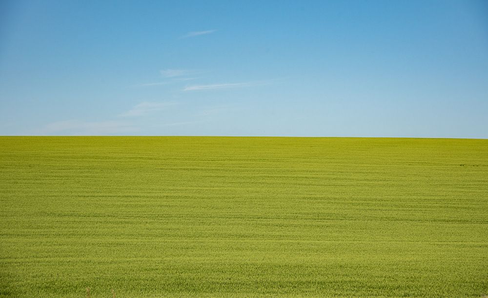 Фотография автора Ирина Яук