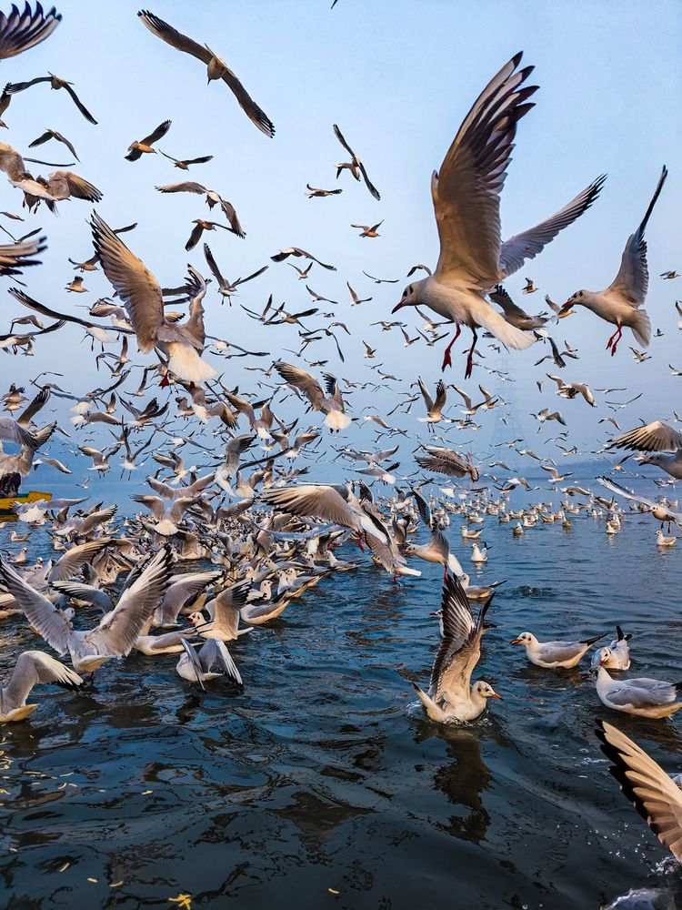 Photograph by Aman Ahirwar