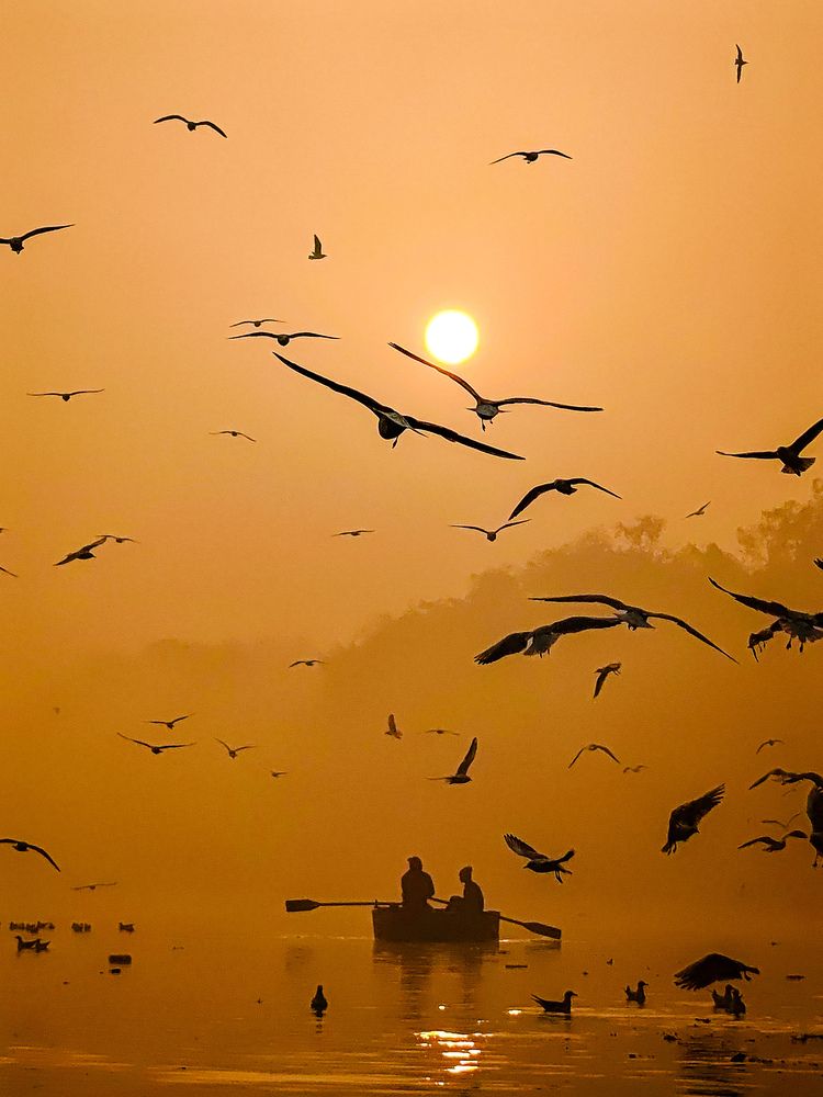 Photograph by Aman Ahirwar