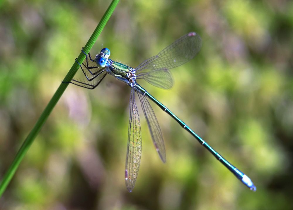 Photograph by Лена Максимкина