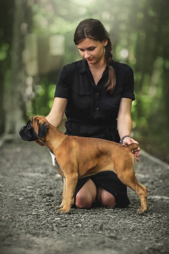 Фотография автора Виктория Лисякова