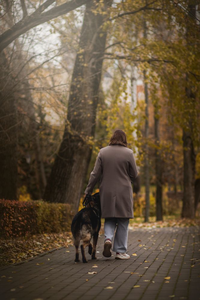 Фотография автора Виктория Лисякова