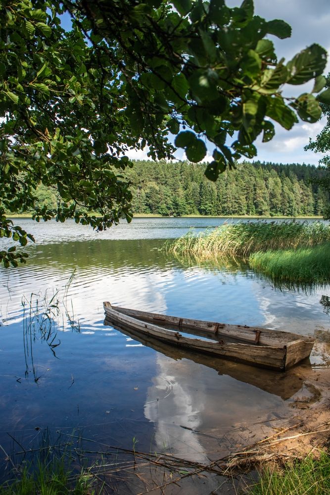 Фотография автора Виктория Трущенко