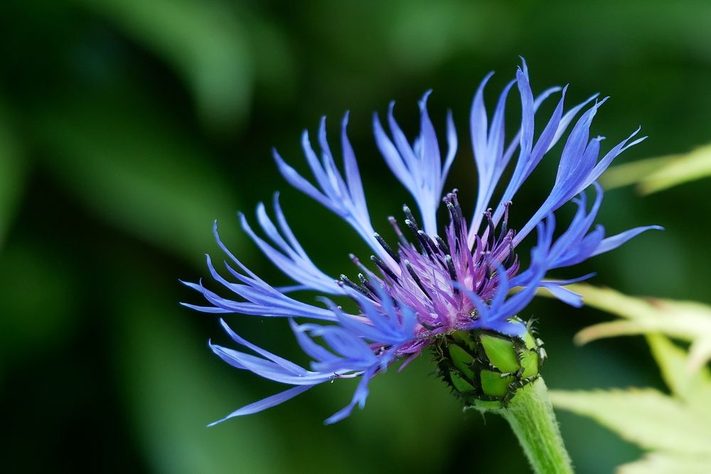 Фотография автора Владимир Лобанов