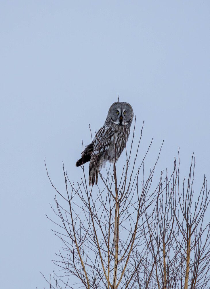 Photograph by Артем Капустин