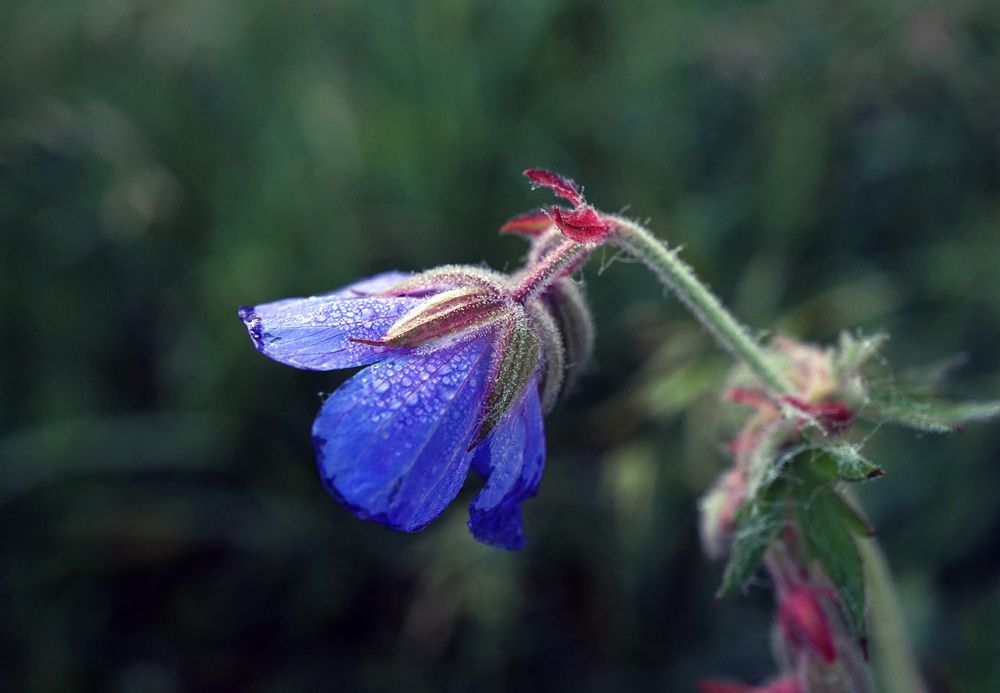 Photograph by Лена Максимкина