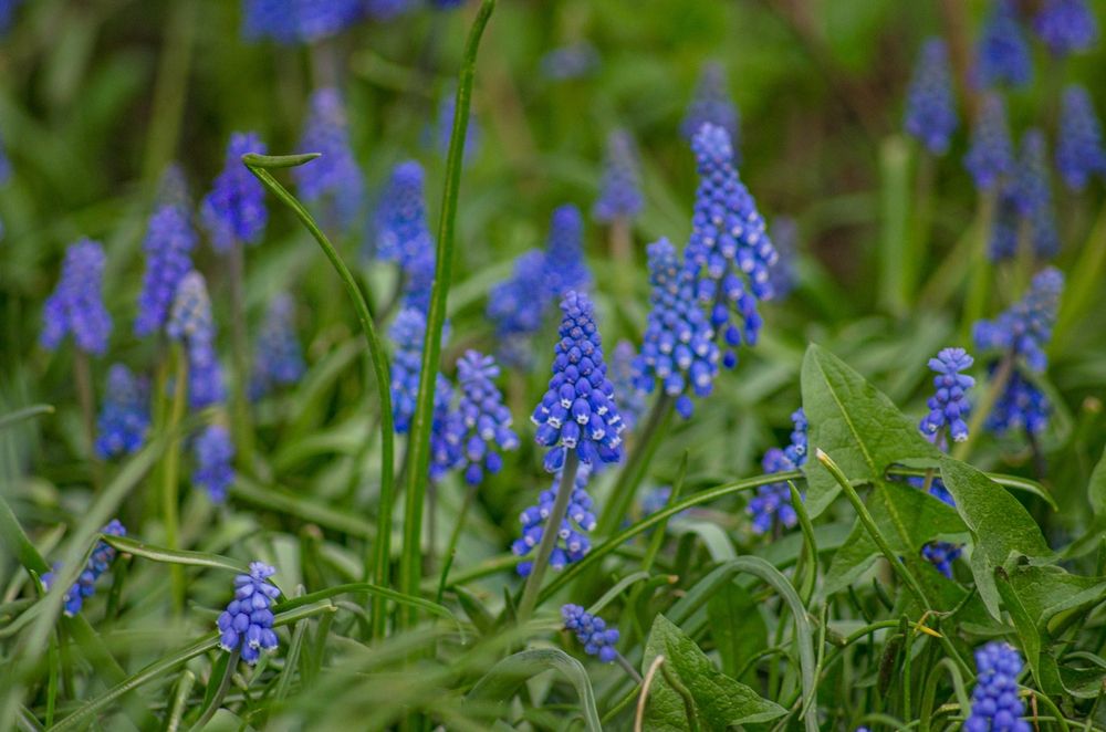 Photograph by Татьяна Жиркина