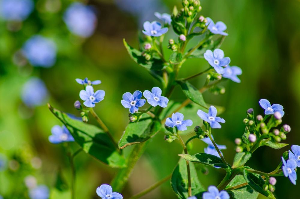 Photograph by Татьяна Жиркина