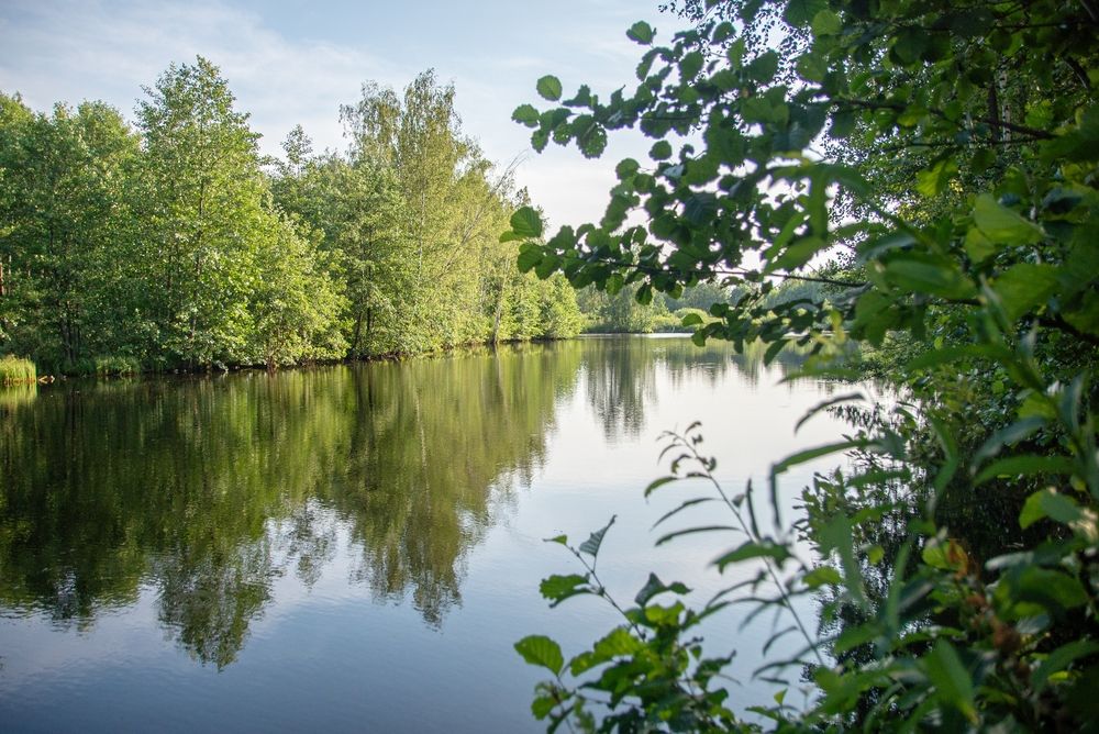 Photograph by Татьяна Жиркина