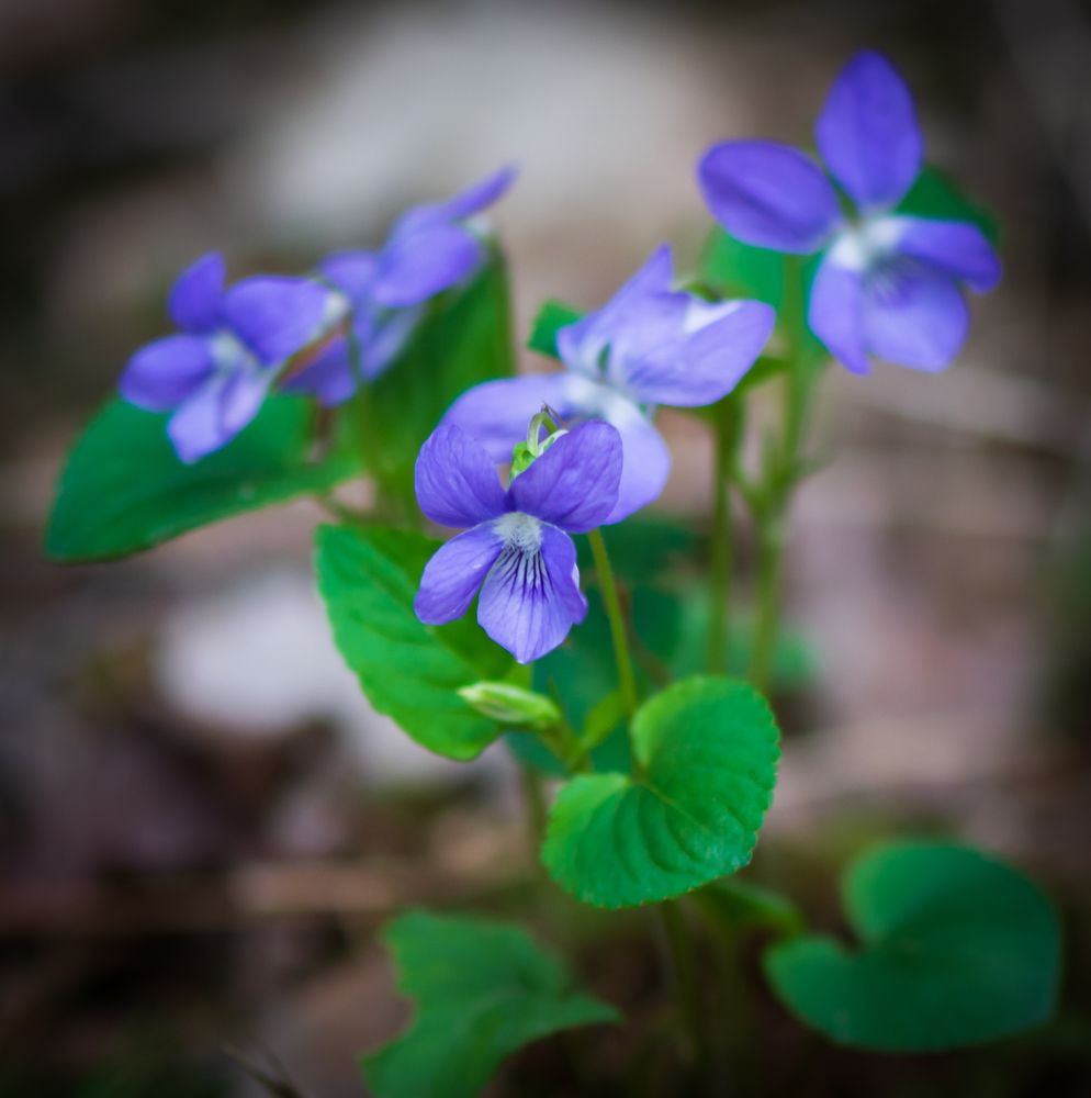 Photograph by Agita Leimane