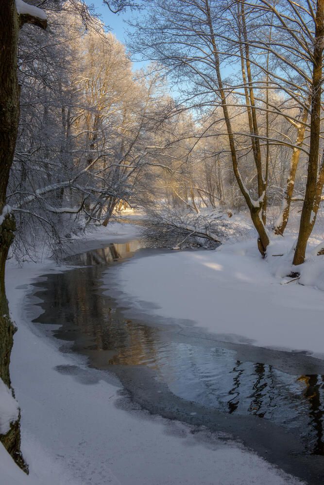 Photograph by Полина Хрол