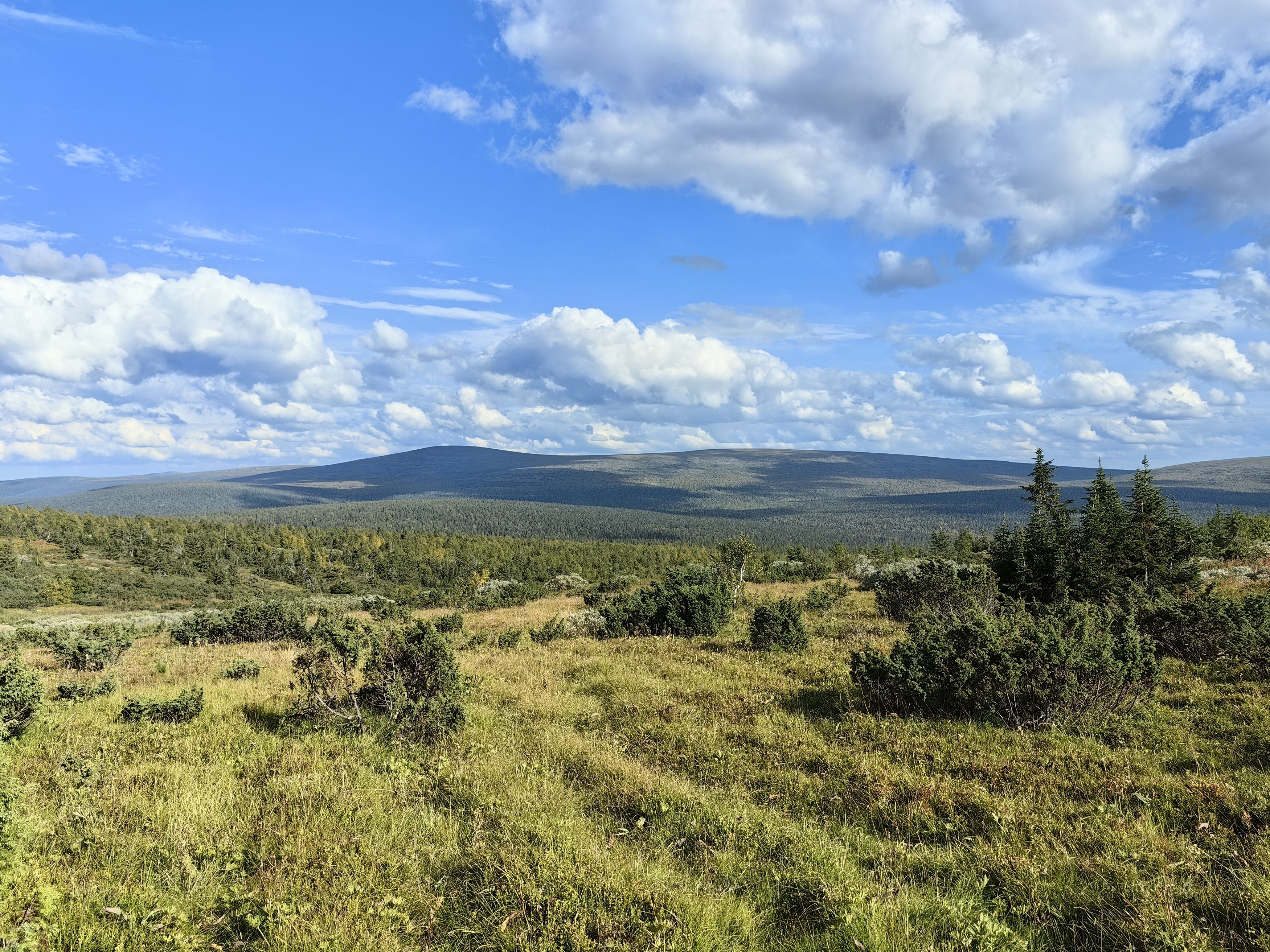 Photograph by OLGA MIKHNEVICH