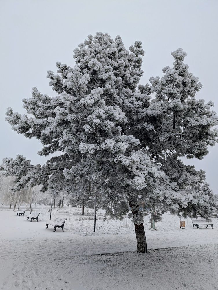 Фотография автора Сергей Старых
