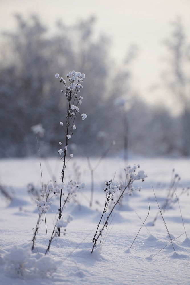 Photograph by Марина Аникина