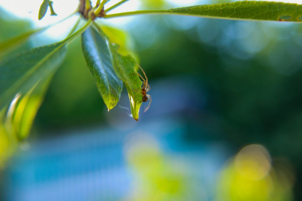 Photograph by Ирина Дмитриенко