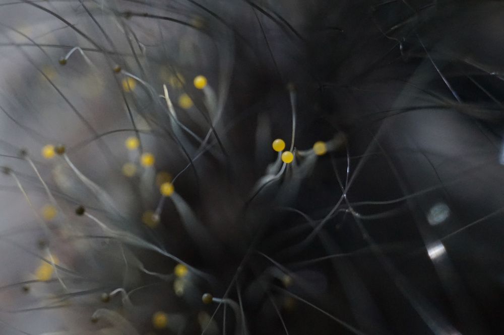 Photograph by Лена Максимкина