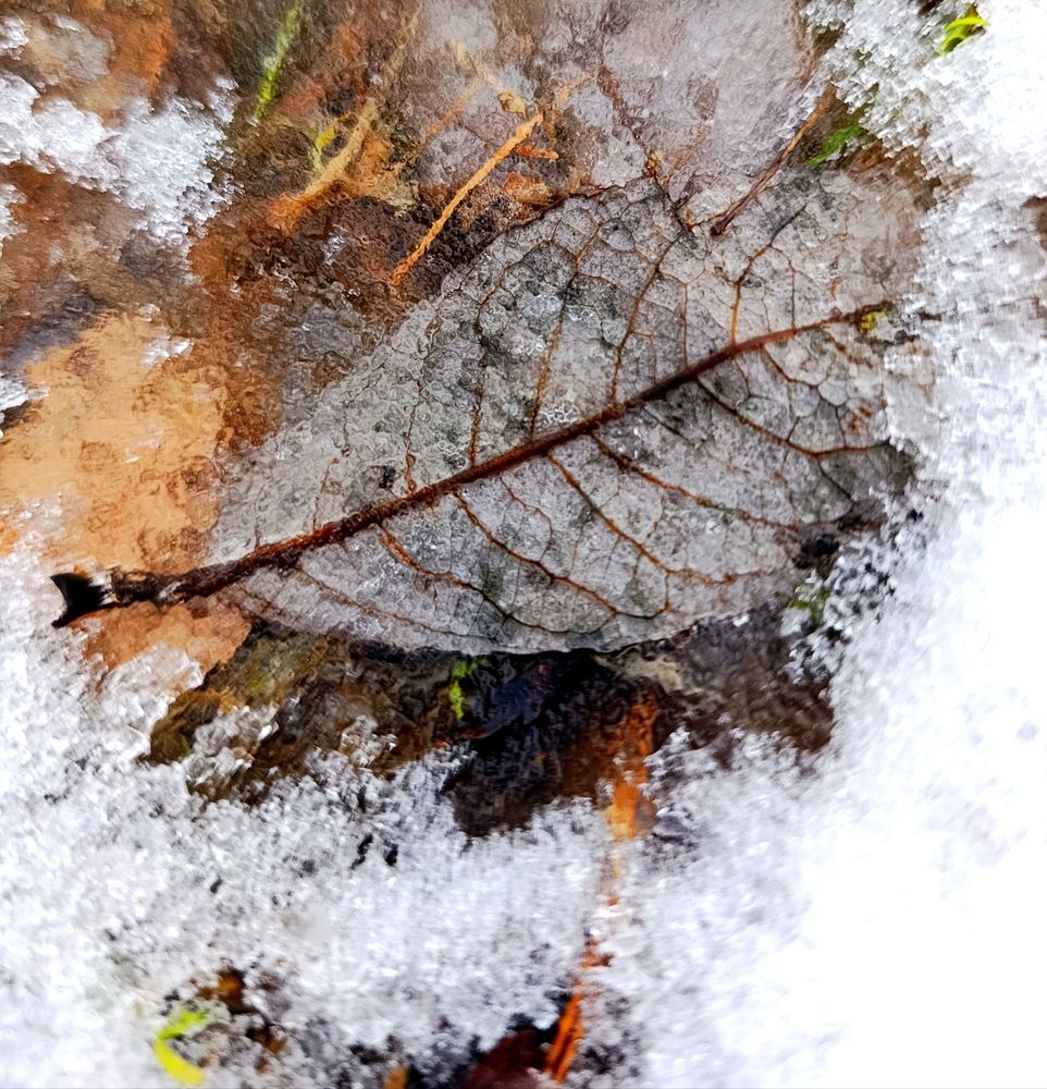 Photograph by Лена Хомякова