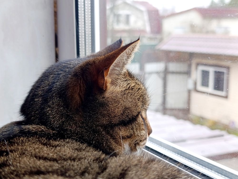Photograph by Лена Хомякова