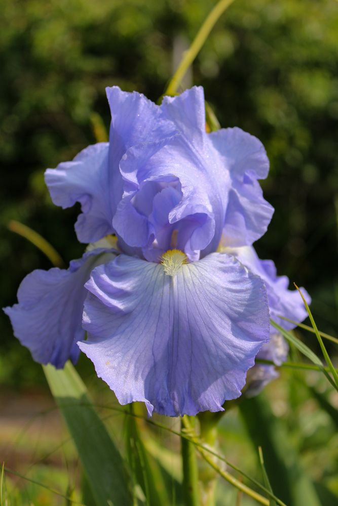 Photograph by Ирина Дмитриенко