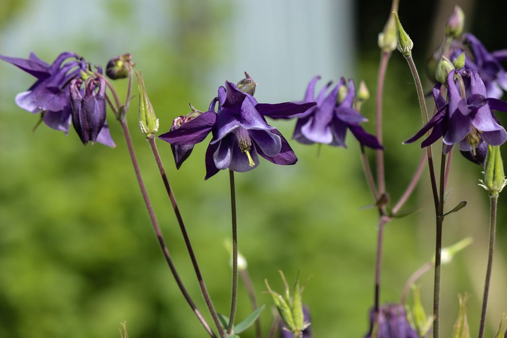 Photograph by Ирина Дмитриенко