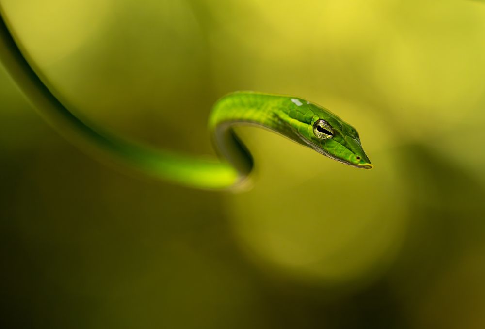 Photograph by Владимир Цветов