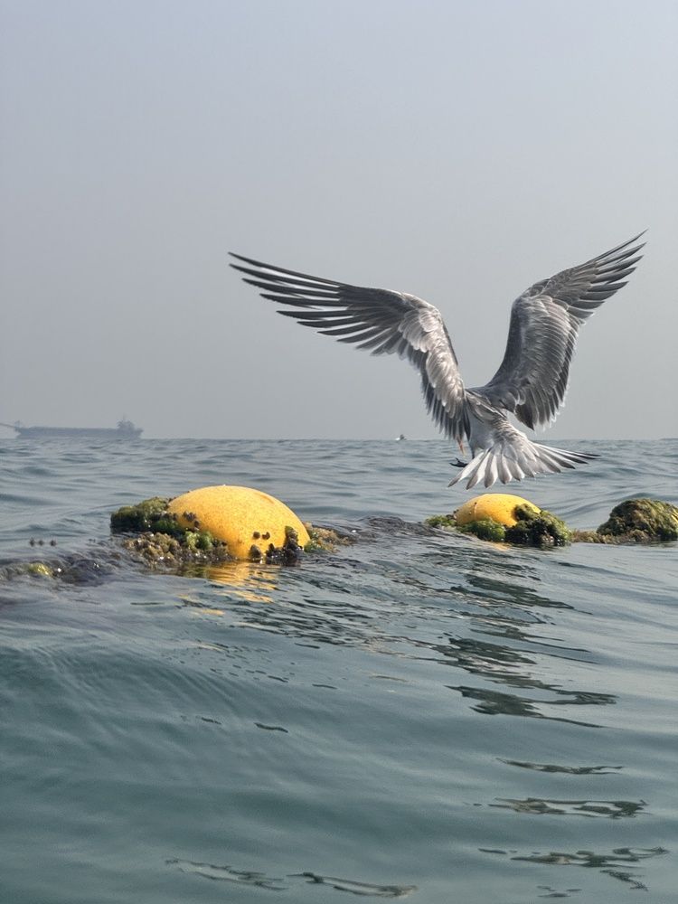 Photograph by Нина Пашина