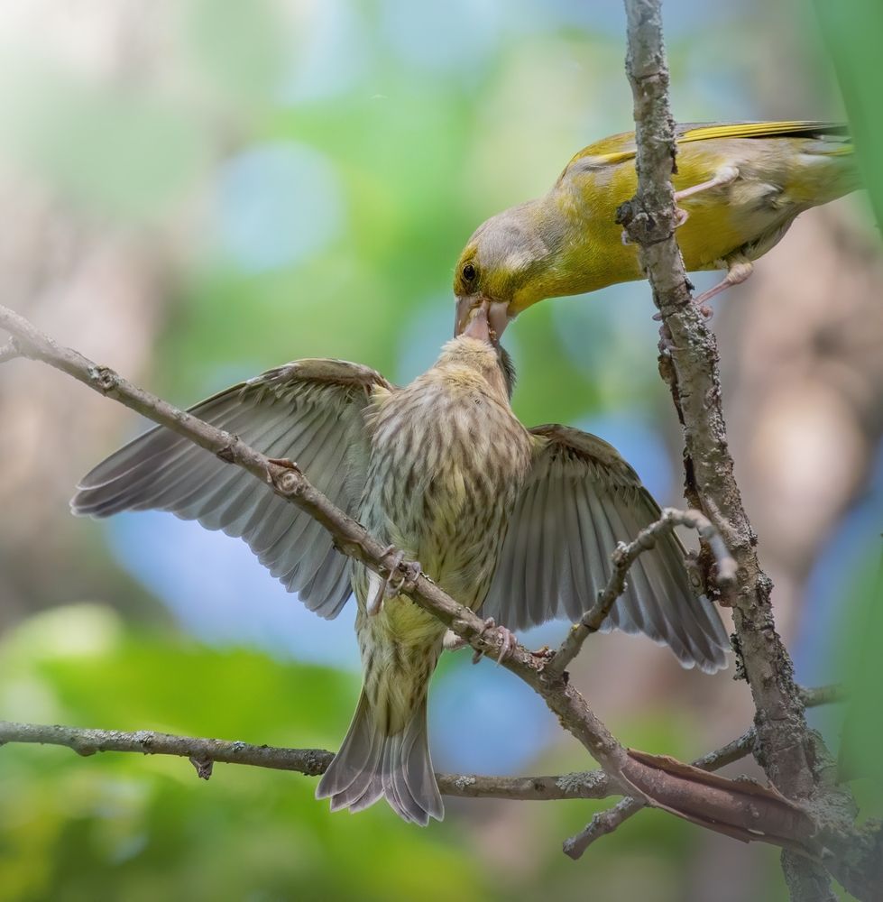 Photograph by Дарья