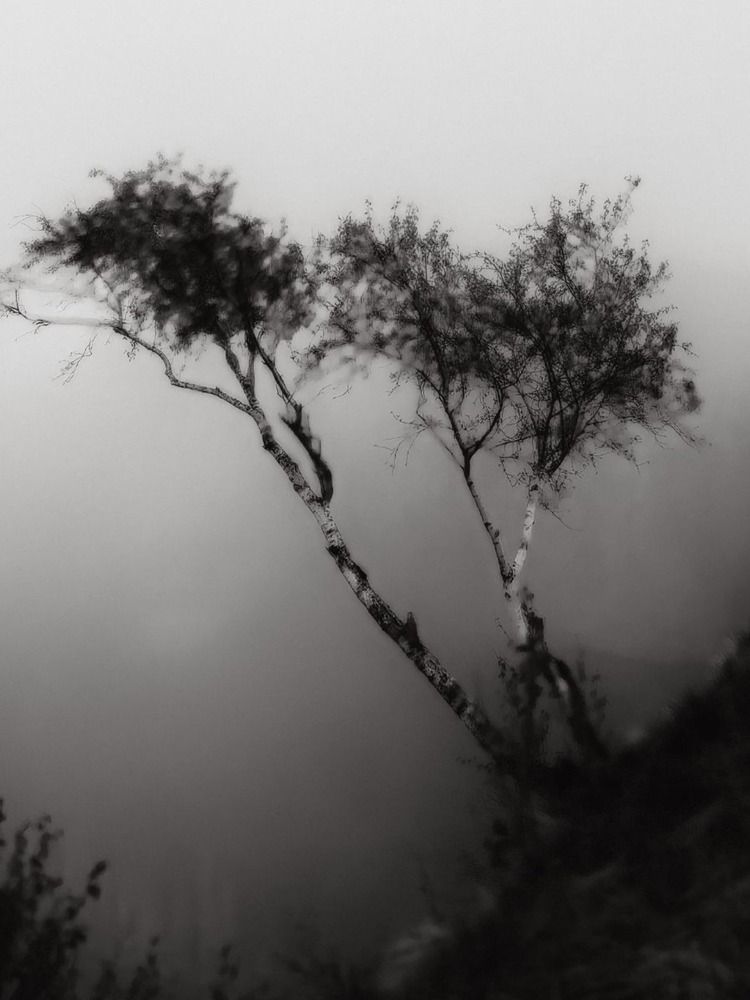 Photograph by Татьяна Минилбаева