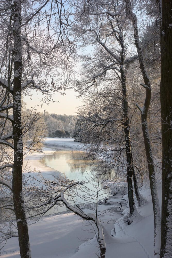 Photograph by Полина Хрол