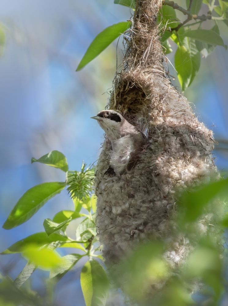 Photograph by Дарья