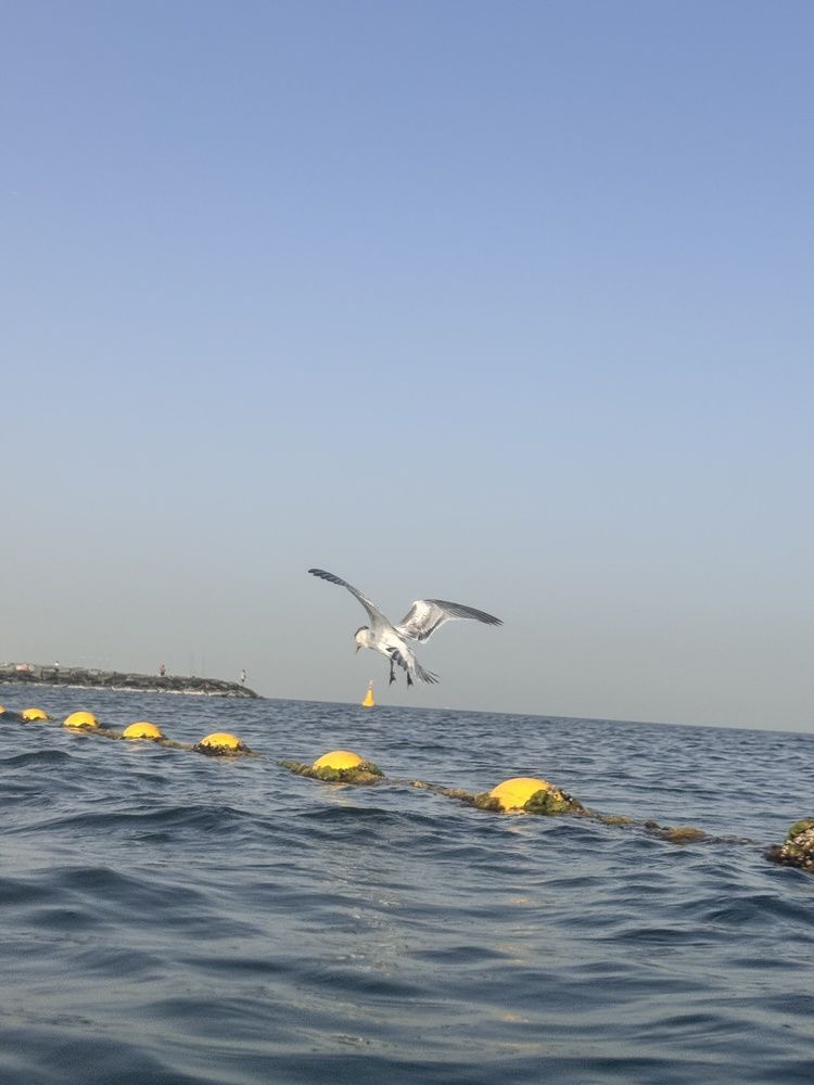 Photograph by Нина Пашина