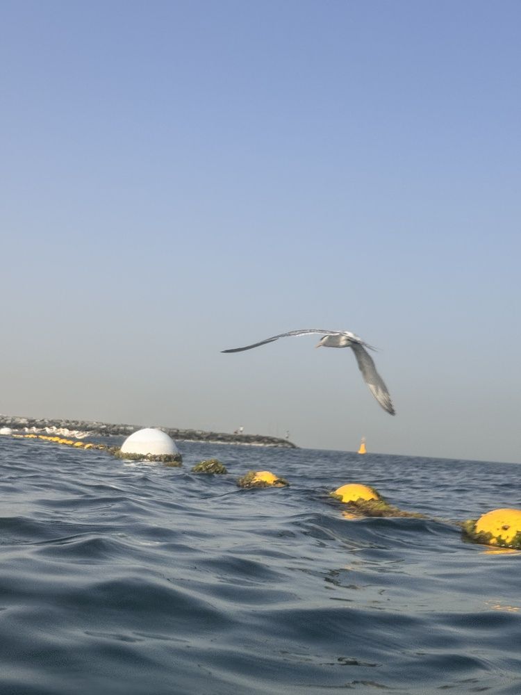 Photograph by Нина Пашина