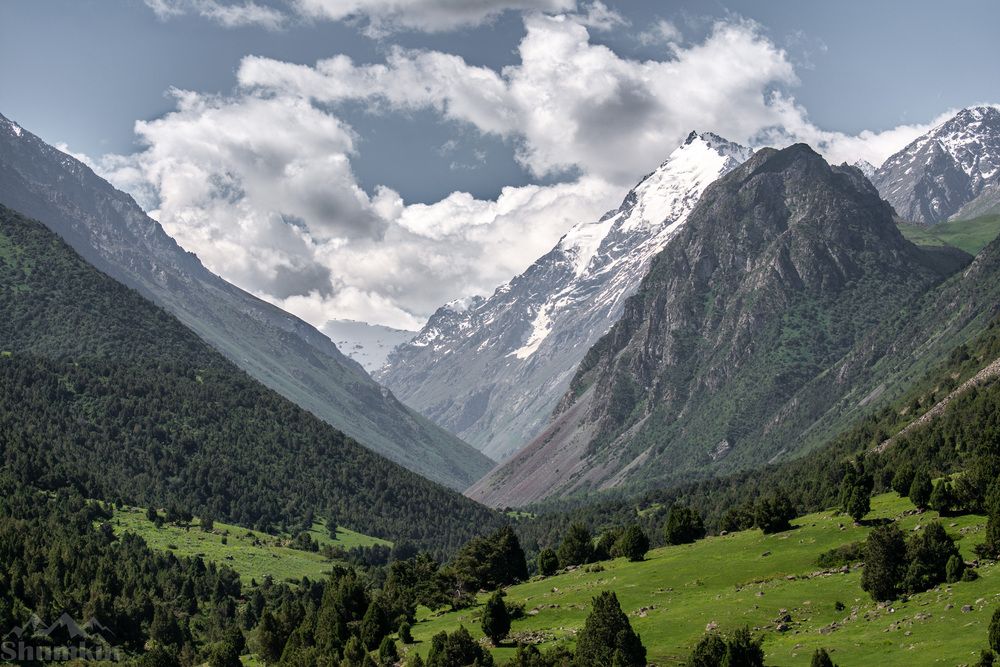 Photograph by Василий Шумкин