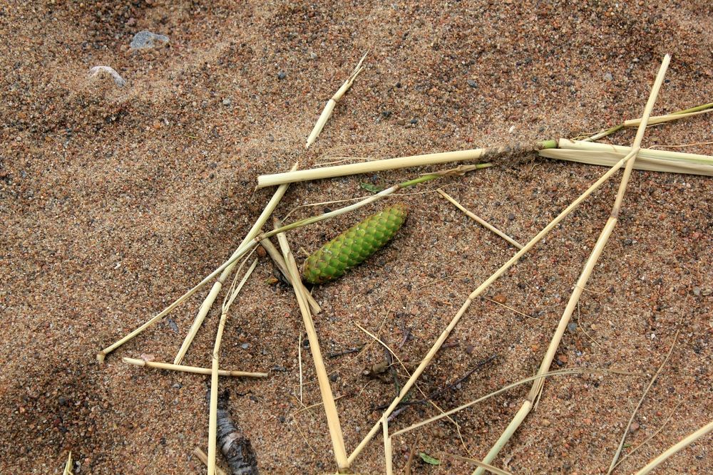 Photograph by Olga Bagaeva