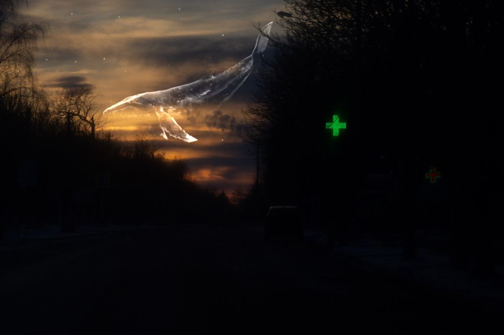 Photograph by Крупченко Роман