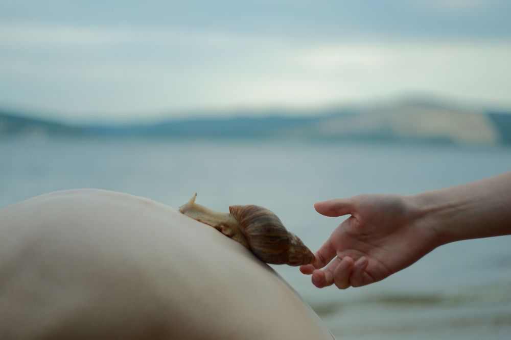 Photograph by Агата Волкова