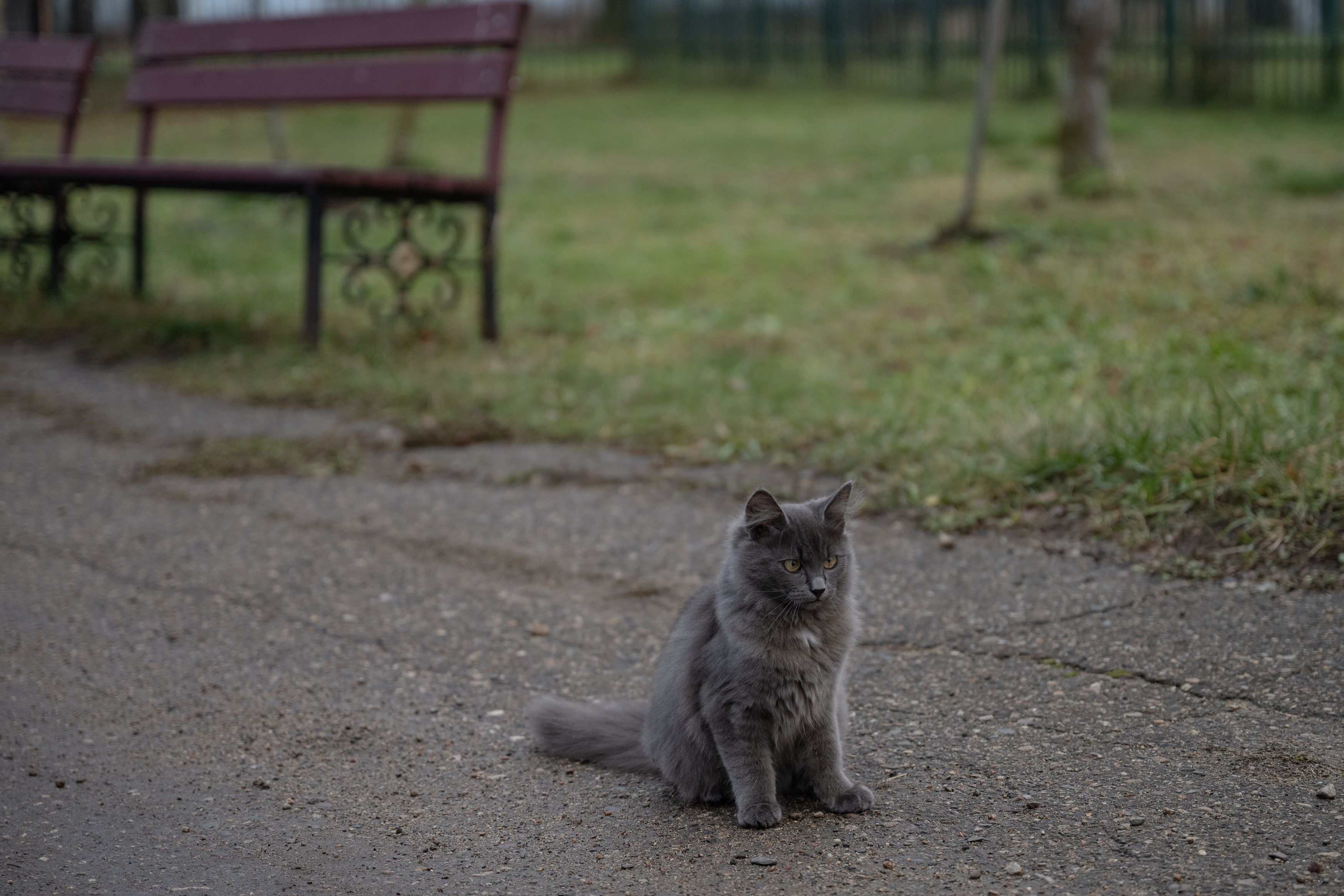 Photograph by Светлана Рубникович