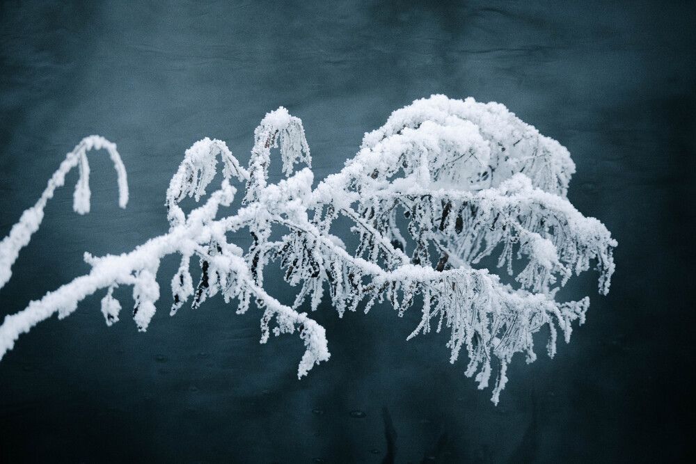 Photograph by Svetlana Porokhovnikova