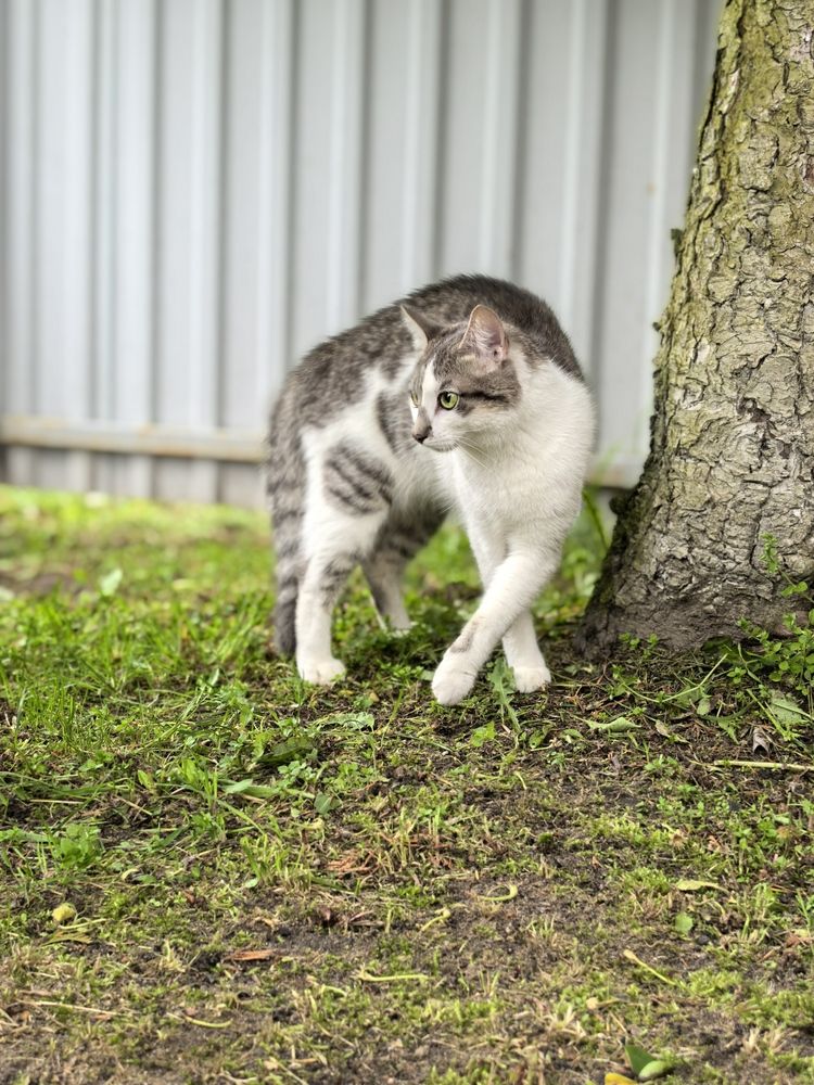 Фотография автора Александр Сипаров