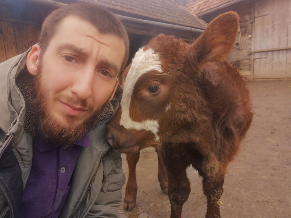 Photograph by Plesa Ioan Dan