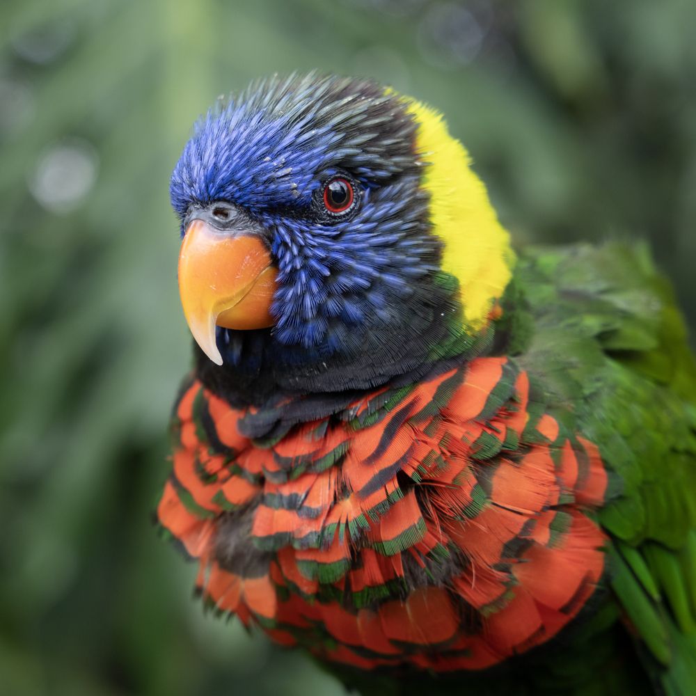 Photograph by pavel chtein