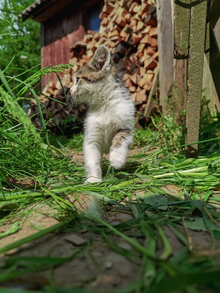 Photograph by Plesa Ioan Dan