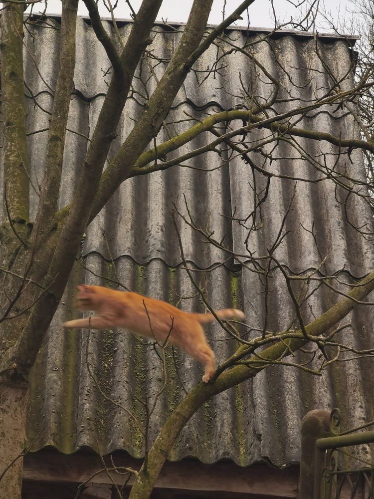 Photograph by Plesa Ioan Dan