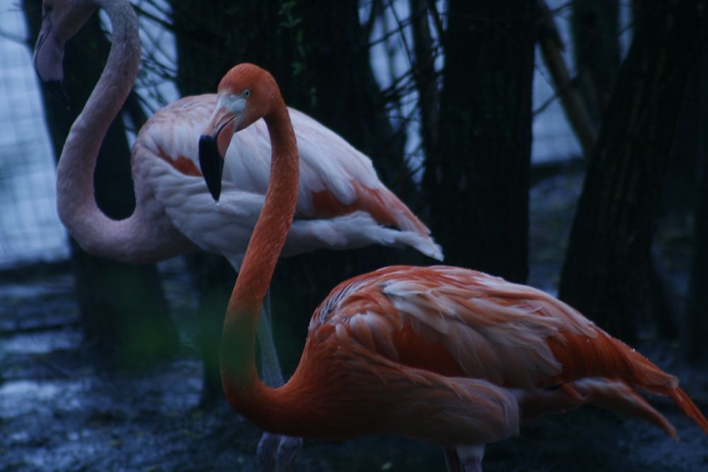 Photograph by Natalia Danilova