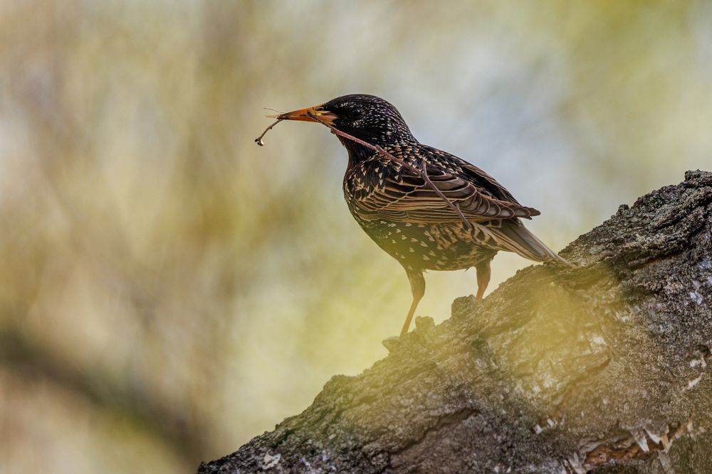 Photograph by Сергей Шестов