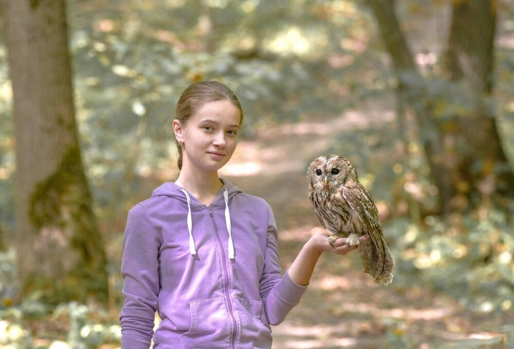 Photograph by Алексей Сиваков