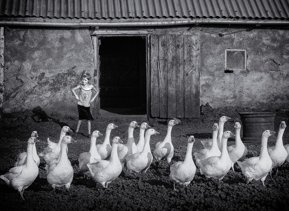 Photograph by Тамара Андреева